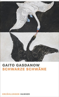 Abbildung von: Schwarze Schwäne - Hanser