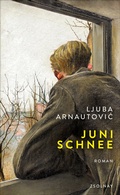 Cover: Junischnee - Zsolnay
