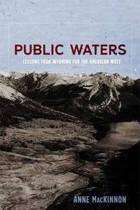 Enlarge image Cover: Public Waters - University of New Mexico Press
