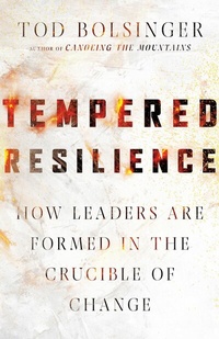 Abbildung von: Tempered Resilience - IVP