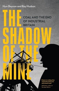 Enlarge image Cover: The Shadow of the Mine - Verso Books