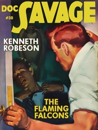 Enlarge image Cover: The Flaming Falcons - Wildside Press
