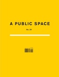 Cover: A Public Space No. 29 - A Public Space