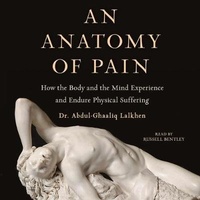 Enlarge image Cover: An Anatomy of Pain - SIMON & SCHUSTER AUDIO