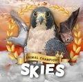 Cover: Skies - BookLife Publishing
