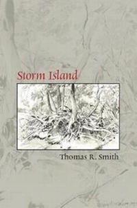 Enlarge image Cover: Storm Island - Red Dragonfly Press