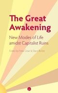 Cover: The Great Awakening - Punctum Books