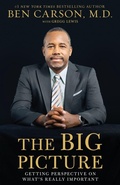 Cover: The Big Picture - Zondervan