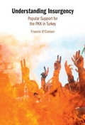 Cover: Understanding Insurgency - Cambridge University Press
