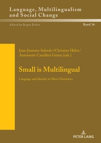 Enlarge image Cover: Small is Multilingual - Peter Lang Verlag