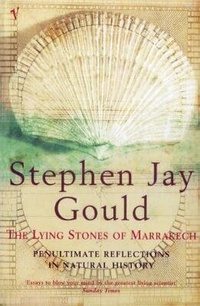 Abbildung von: The Lying Stones of Marrakech - Vintage