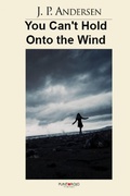 Cover: You Can't Hold Onto the Wind - Babelcube Inc.
