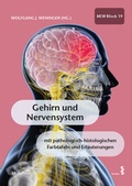 Bild: Gehirn und Nervensystem - Facultas