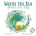 Cover: Where the Sea Meets the Sky - Hodder Children's Books