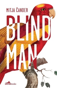 Enlarge image Cover: Blind Man - Istros Books