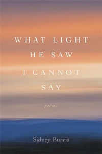 Enlarge image Cover: What Light He Saw I Cannot Say - Penguin Random House South Africa