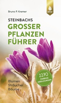 Abbildung von: Steinbachs großer Pflanzenführer - Verlag Eugen Ulmer