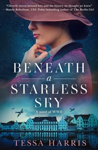 Enlarge image Cover: Beneath a Starless Sky - HarperCollins