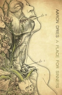 Enlarge image Cover: A Place For Sinners - Aaron Dries