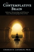 Cover: The Contemplative Brain - Daily Grail Publishing
