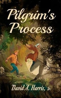 Enlarge image Cover: Pilgrim's Process - His Group LLC