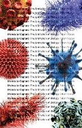 Cover: Molecular Capture - University of Minnesota Press