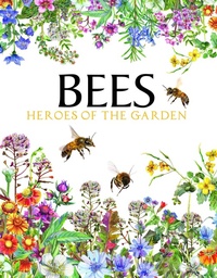 Enlarge image Cover: Bees - Amber Books