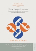 Cover: Texts, Images, Practices - Peter Lang Verlag