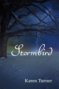 Cover: Stormbird - Karen Turner