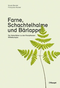 Abbildung von: Farne, Schachtelhalme und Bärlappe - Haupt Verlag