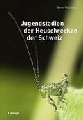 Bild: Jugendstadien der Heuschrecken der Schweiz - Haupt Verlag