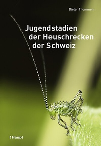 Abbildung von: Jugendstadien der Heuschrecken der Schweiz - Haupt Verlag