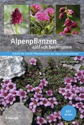 Cover: Alpenpflanzen einfach bestimmen - Haupt Verlag