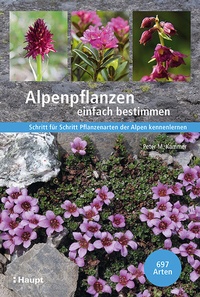 Abbildung von: Alpenpflanzen einfach bestimmen - Haupt Verlag
