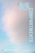 Cover: The Blue Split Compartments - Wesleyan University Press