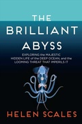 Cover: The Brilliant Abyss - Atlantic Monthly Press