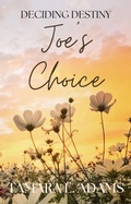 Cover: Deciding Destiny: Joe's Choice - Tamara Adams