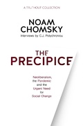 Cover: The Precipice - Haymarket Books