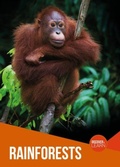 Cover: Rainforests - BookLife Publishing