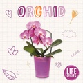 Cover: Orchid - BookLife Publishing