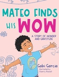 Cover: Mateo Finds His Wow - Skinned Knee Publishing