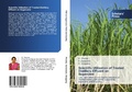 Cover: Scientific Utilization of Treated Distillery Effluent on Sugarcane - Scholars' Press