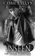 Cover: Unseen - Wild Rose Press