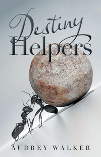 Enlarge image Cover: Destiny Helpers - iUniverse