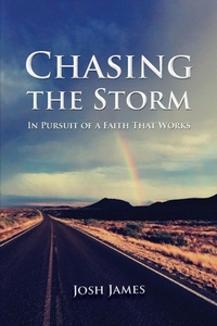 Enlarge image Cover: Chasing the Storm - Cross City Creations