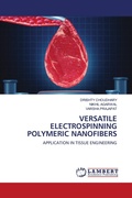 Cover: Versatile Electrospinning Polymeric Nanofibers - LAP Lambert Academic Publishing