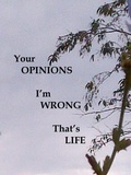 Cover: Your Opinions I'm Wrong That's Life - James Greene