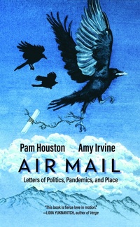 Enlarge image Cover: Air Mail - Torrey House Press
