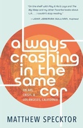 Cover: Always Crashing in the Same Car - Zando