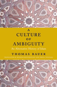 Abbildung von: A Culture of Ambiguity - Columbia University Press